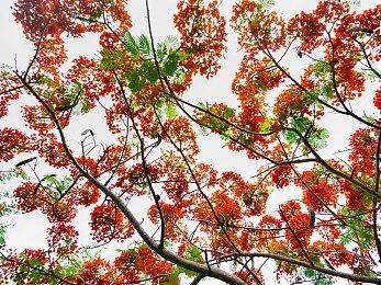 致敬武侠功夫片《功夫熊猫4》花絮视频曝光