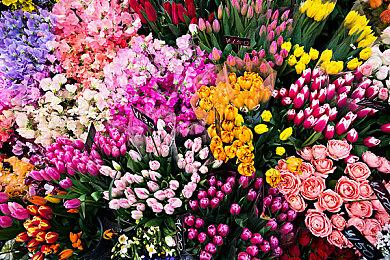 《光环》多个新作可能于10月24日揭晓