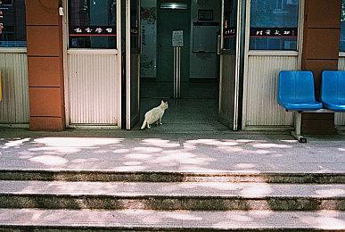 正统推理冒险游戏《Dark Auction：希特勒的遗产》Steam页面上线 支持中文